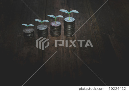 Coins placed in rows and small trees. 50224412