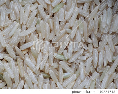 raw old stocked white Thai Jasmin rice long grain  50224748
