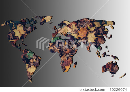 Roughly outlined world map with dry Autumn leaves Roughly outlined world map with dry Autumn leaves 50226074