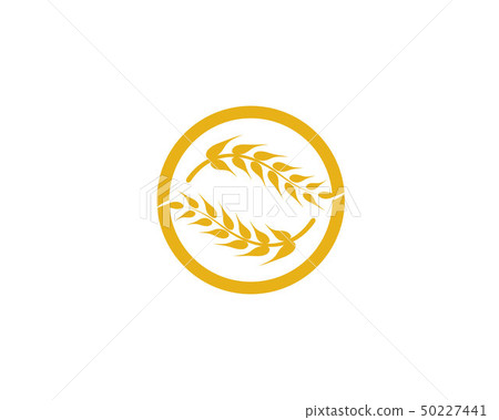 Agriculture wheat vector 50227441