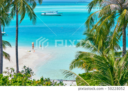 Toddler boy on beach with mother Toddler boy on beach with mother 50228052