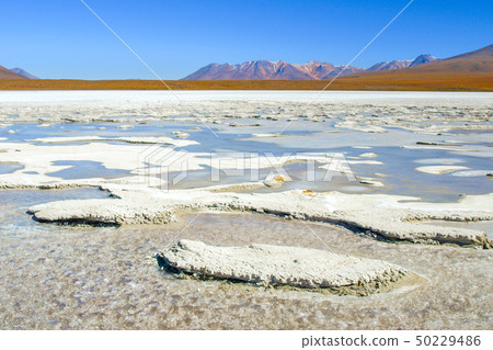 Frozen lagoon of altiplano with mountain peak on background. Bolivia, South America 50229486