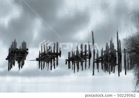 beautiful water landscape with fragments of piles 50229562