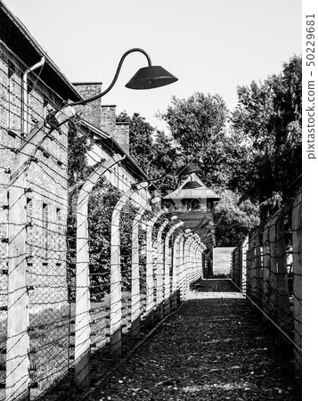 Barb wire fence with guard lamps and tower in concentration camp, Auschwitz, or Oswiecim, Poland 50229681