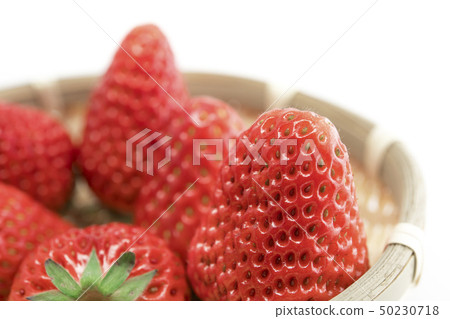 【strawberry】 【strawberry】 50230718