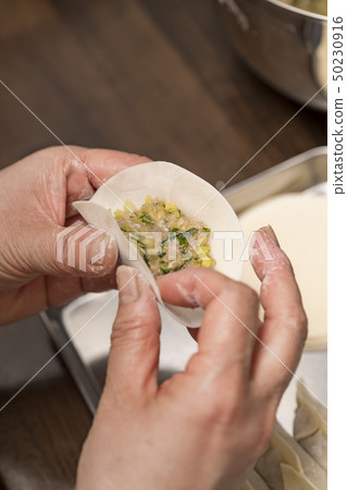 [Handmade dumplings] 50230916