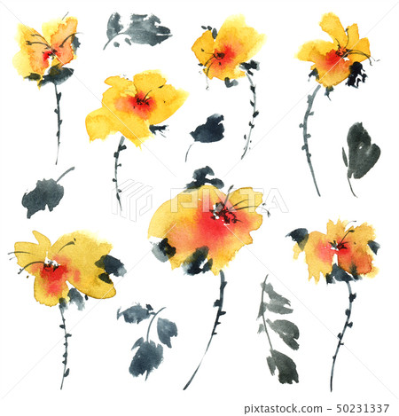 Watercolor painted flowers Watercolor painted flowers 50231337