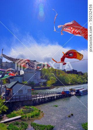    Carp streamer 50232456