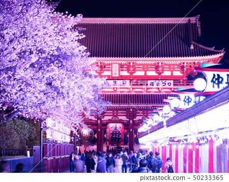 淺草寺和夜櫻花 50233365