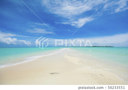 帕勞共和國的太平洋小環礁島,Kayangaru島長灘天堂,藍天和大海,白沙灘 帕勞共和國的太平洋小環礁島,Kayangaru島長灘天堂,藍天和大海,白沙灘 50233551