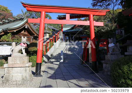 Autumn Mitsuko Inari Shrine Autumn Mitsuko Inari Shrine 50233979