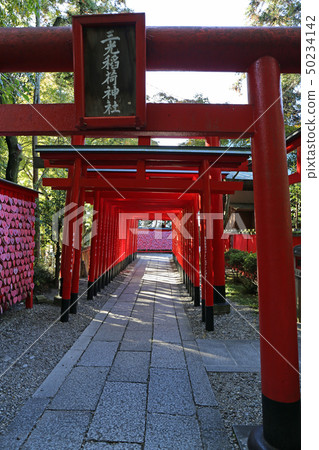 秋天的Mitsuko稻荷神社 50234142