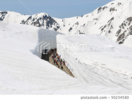 Tateyama Kurobe alpine route 50234580