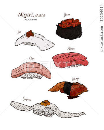 Nigiri set, hand draw sketch vector. 50234614