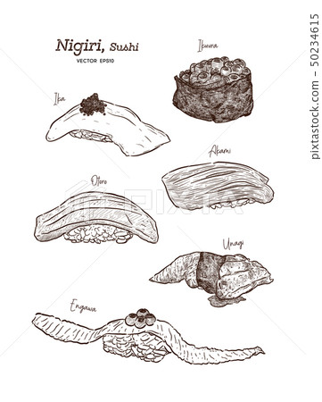 Nigiri set, hand draw sketch vector. 50234615