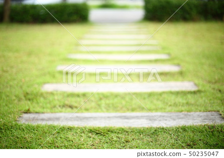 pathway pavement step on green grass front yard pathway pavement step on green grass front yard 50235047