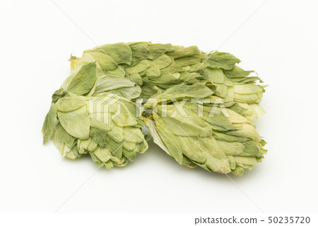 跳躍花啤酒花啤酒花花啤酒原料啤酒花整個花 跳躍花啤酒花啤酒花花啤酒原料啤酒花整個花 50235720