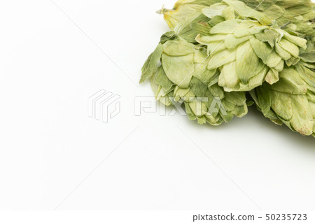 Hop Hop Flower Hops Hops Flower Beer Raw Material Hops flower whole Hop Hop Flower Hops Hops Flower Beer Raw Material Hops flower whole 50235723