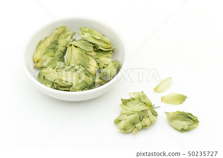 跳躍花啤酒花啤酒花花啤酒原料啤酒花整個花 跳躍花啤酒花啤酒花花啤酒原料啤酒花整個花 50235727