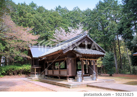 白山宮（Kuyama鎮）正殿 50235825