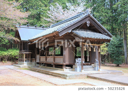 白山宮（Kuyama鎮）正殿 50235826