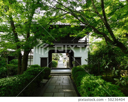 West country number extra note place Motokei-ji 50236404