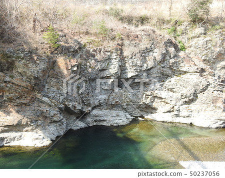 吉野吉野 50237056