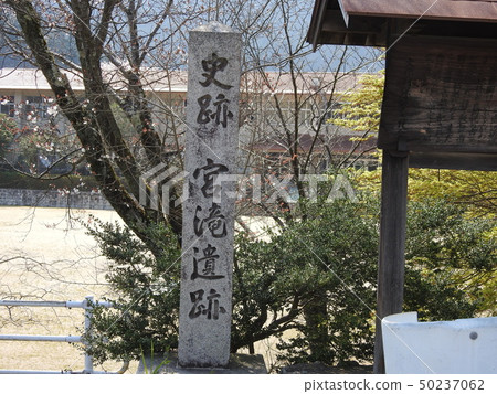 吉野吉野 50237062