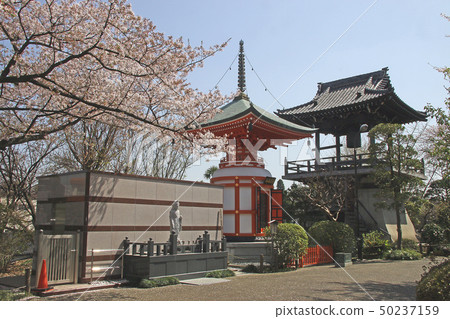 Nohasutera Nohasutera 50237159