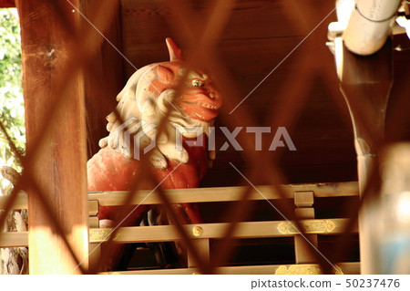 Shimogamo Shrine，Shiba Inu，Kamo Oso Shrine 50237476