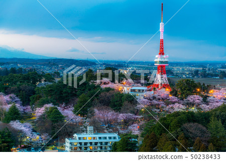 Utsunomiya Tower 50238433