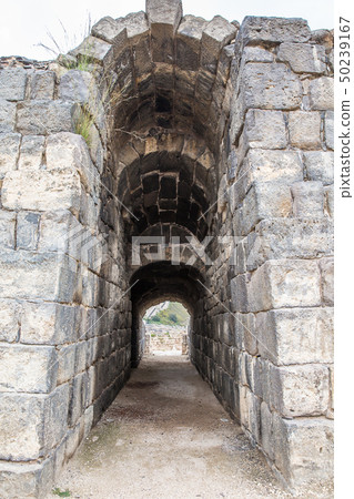 Ruins of amphitheater in the ancient Roman city. Ruins of amphitheater in the ancient Roman city. 50239167