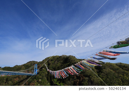 Carp streamer and Ryujinkyo Ibaraki Prefecture Hitachi Ota City Carp streamer and Ryujinkyo Ibaraki Prefecture Hitachi Ota City 50240134