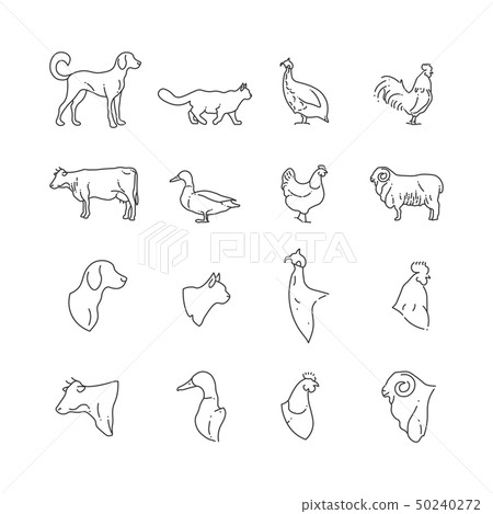 Farm animal and birds thin line icons Farm animal and birds thin line icons 50240272
