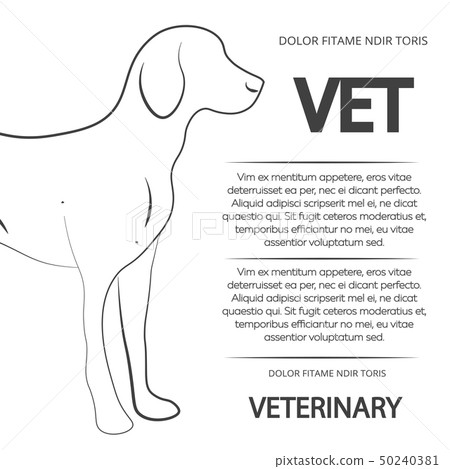 Veterinary poster design with line dog 50240381