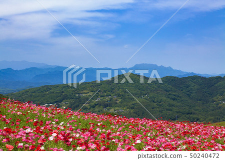 The sky of the sky 50240472