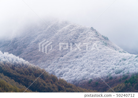春天降雪福島豬苗代 50240712