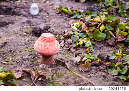 A Golden Mangal Kalash at riverbank 50241258