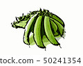 Snap peas 50241354