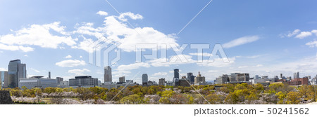 View from Osaka Castle View from Osaka Castle 50241562