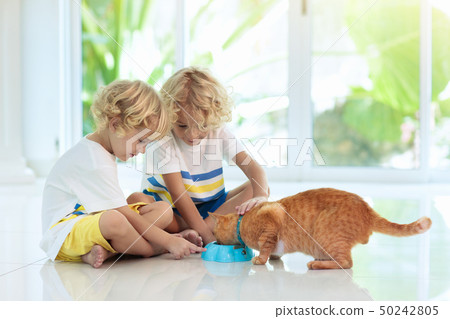 Child feeding home cat. Kids and pets. 50242805