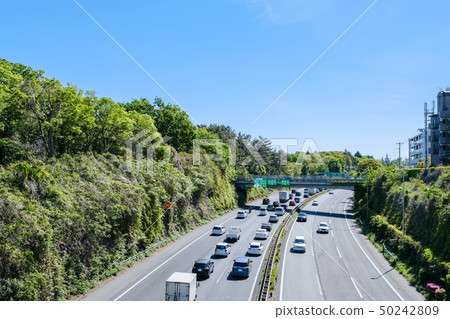 公路擁堵 公路擁堵 50242809