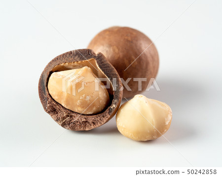 Three macadamia nuts isolated on white 50242858