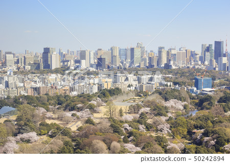 Tokyo view Cherry blossoms area Shinjuku to Akasaka / Shinbashi direction 50242894