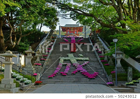 防府天滿宮平成花卉人物 防府天滿宮平成花卉人物 50243012