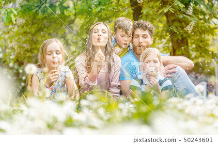 Family of five sitting on a meadow blowing dandelion flowers 50243601