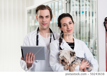 Male and female veterinarian holding digital tablet 50243638