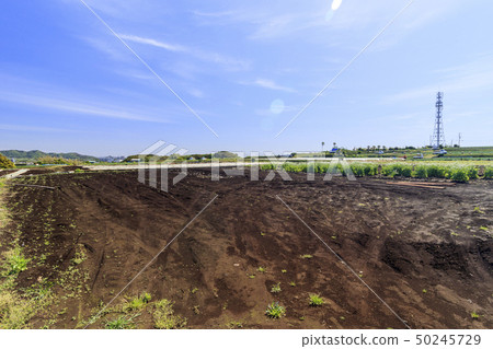 Field (spring) 50245729