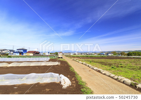 Field (spring) 50245730