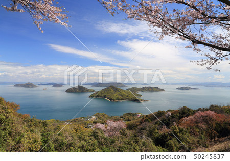 See Shimojima, Shiomishima Islands, Takami Island and so on from Shimoideyama in full bloom 50245837